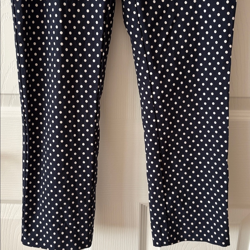 JULES & LEOPOLD Navy Polka Dot Pants - Picture 3 of 15